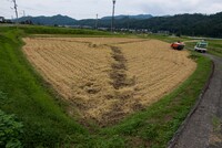 小さい田も稲刈り終わり。