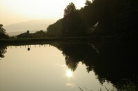 日の出と池