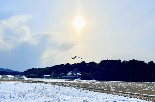 冬空