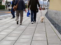 【街角スナップ】愛犬散歩