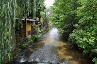 【夏の涼】京都