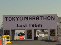 東京マラソン２０１３ゴール前のゲート