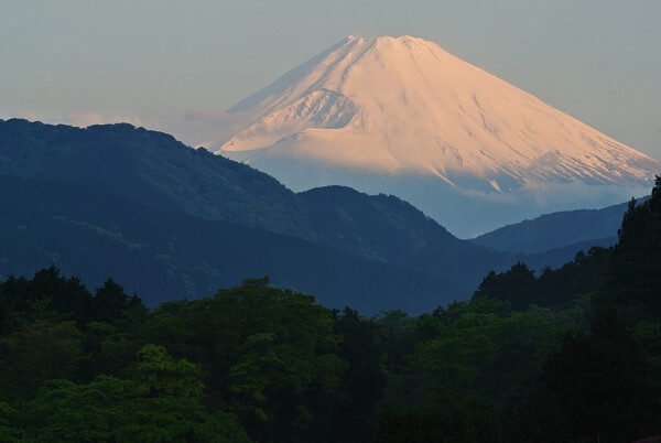 朝の紅富士