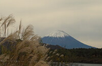 【秋】富士山3