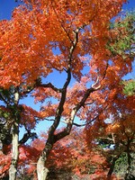 〜　いざ鎌倉（長寿寺-06）　〜