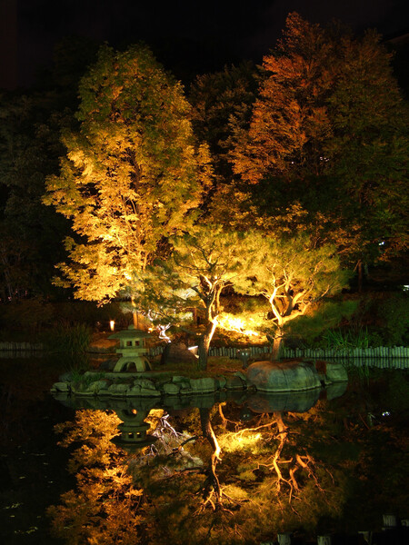 中島公園紅葉ライトアップ