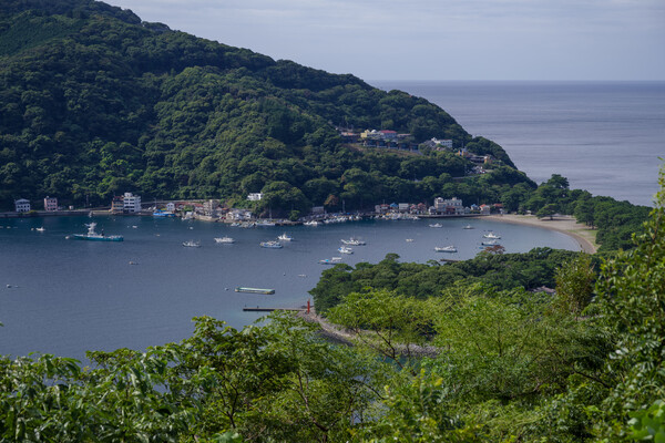 箱港
