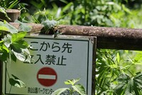 えっ、この先ダメかよ・・・