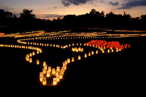 奈良燈火会2008