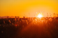 満月のような夕陽