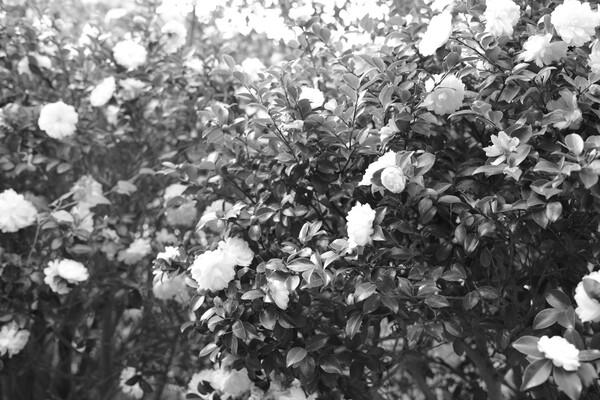 ①_(JPEGオリジナル)