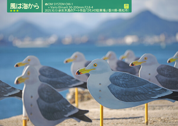 風は海から