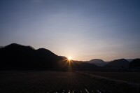 薄〜い雲に覆われた朝日の出。