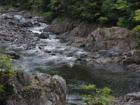 渓流の風景
