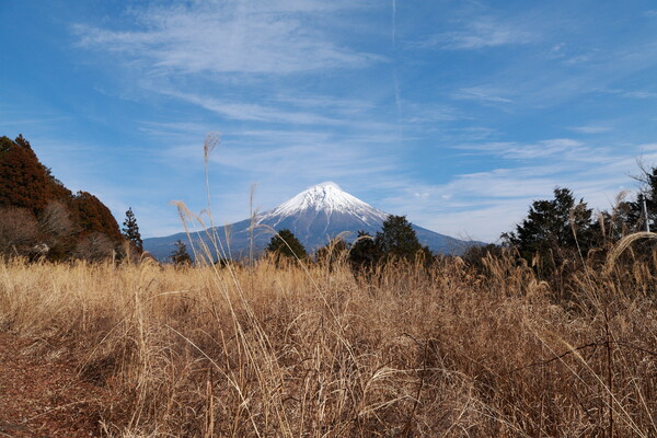 道端の富士富士宮