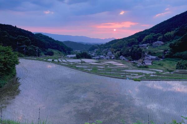 奈良の棚田