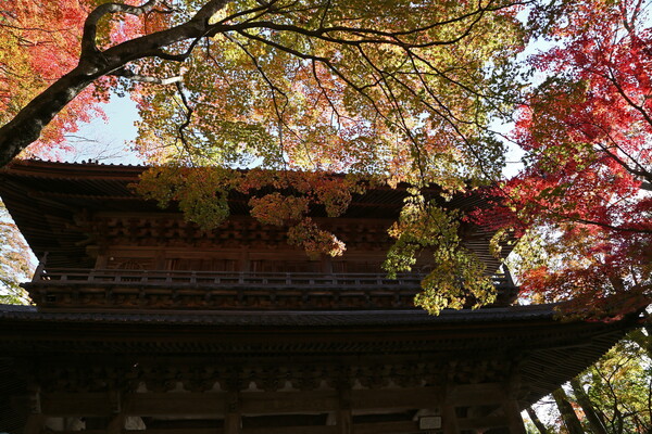 永源寺の秋模様