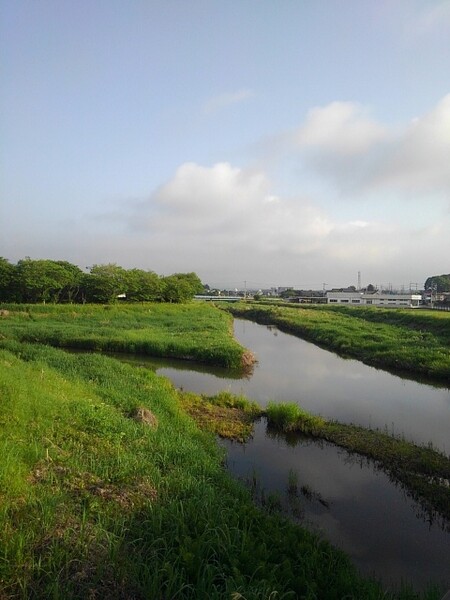 交わる川