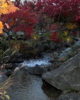 【流】六本木の小川と紅葉