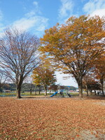 栃木の秋(那珂川河畔公園)２