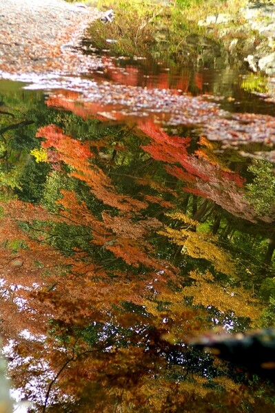 嵐山　川面に写る紅葉