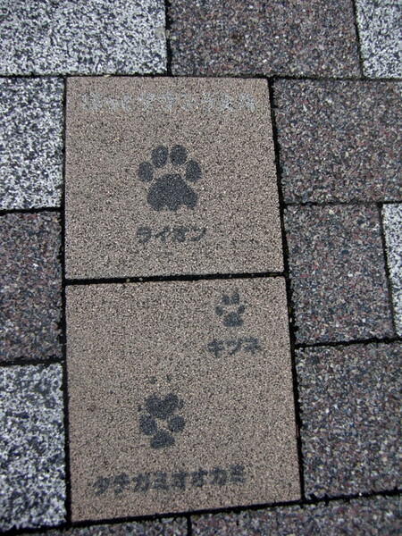歩道の足跡
