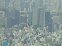 「天望デッキ」から東京タワー
