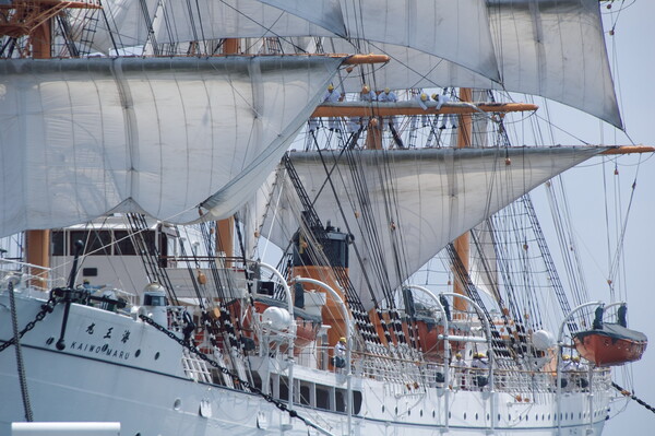 総帆展帆作業中の海王丸