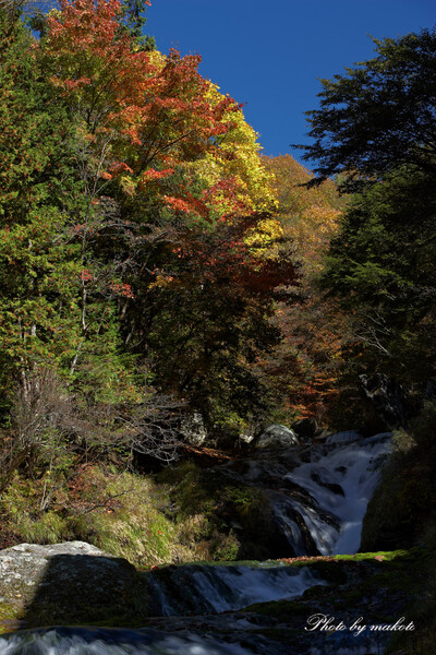 秋のおしどり隠しの滝