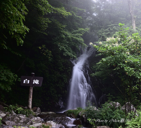 滝汁