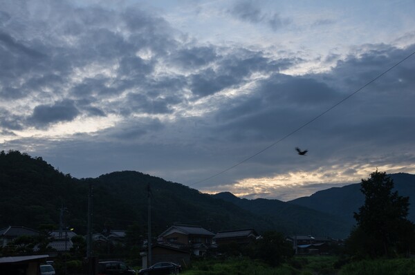 早朝の東空。