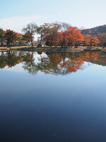 栃木の秋(鳥の目河川公園)