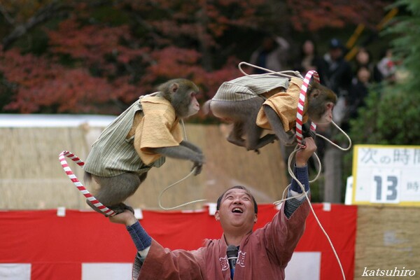 あそんでみました