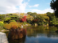 天王寺公園の池の畔