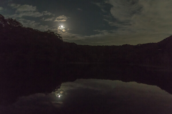 ホーホーの池の夜