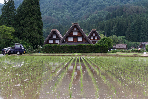 白川郷_2025年初夏