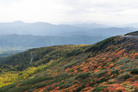乗鞍岳秋色に染まる