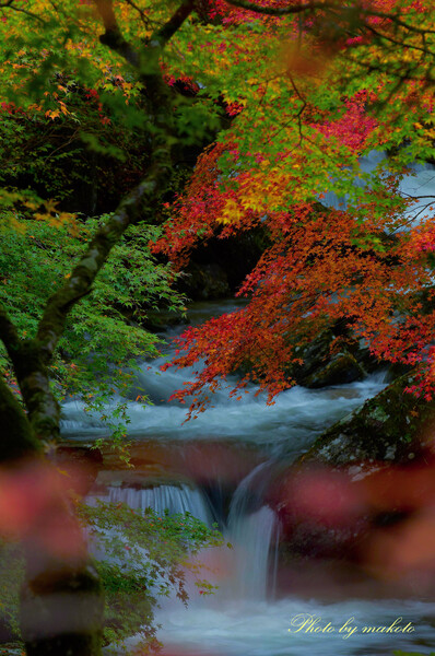 秋深まる渓流