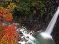 滝と紅葉