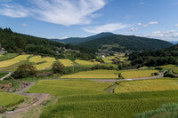 実りの”秋”。。。。