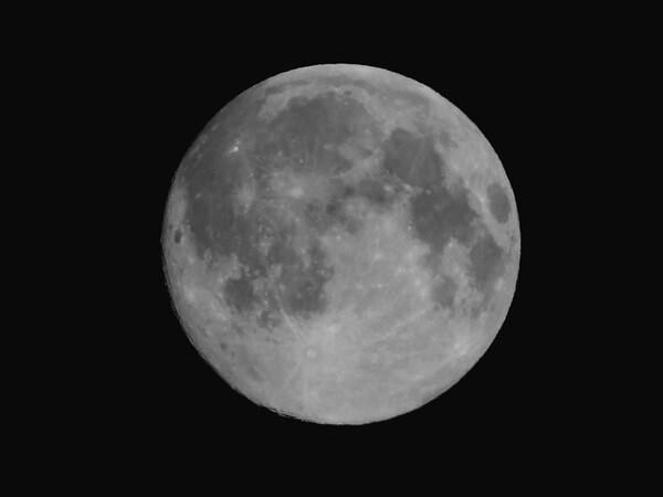 久し振りに満月を撮ったお。