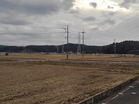 幻想的な雲もある水田地帯（2/29に撮影）