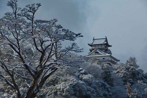 犬山城雪景色