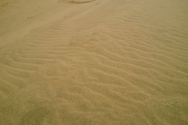 砂丘の風紋（Z250)