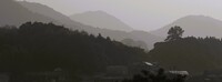 朝もや