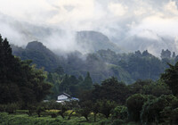 山里の朝