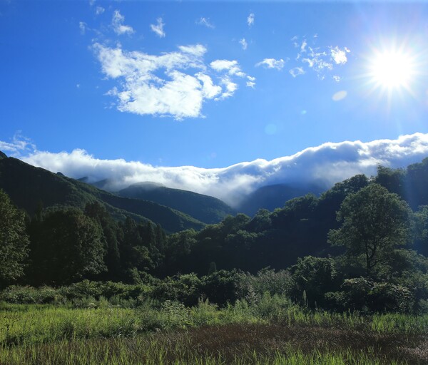 雨あがる