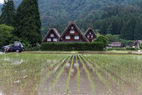 白川郷_2025年初夏