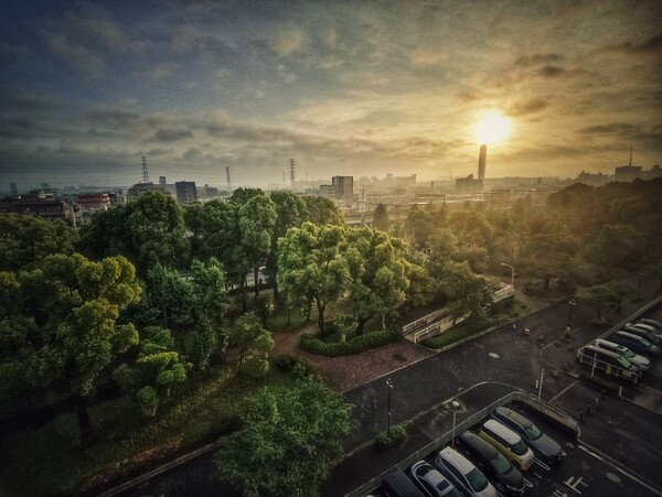 rising sun