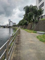 市街地の川の近くの歩道